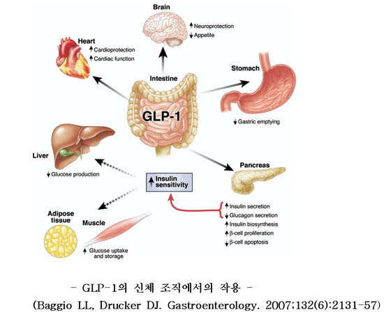 humana glp 1 coverage Navigating Changes to GLP-1 Medication Coverage