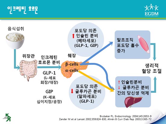 glp-1 기전 후생신보] 대한당뇨병학회 및 심평원 초청 간담회<br>당뇨병 치료에 있어서 GLP-1 유사체의 임상적 효과 및 필요성