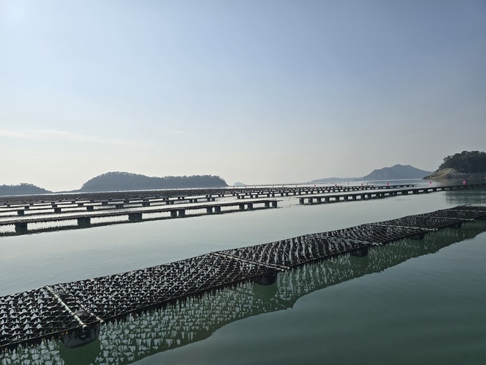 본문이미지