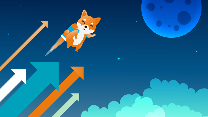 시바이누(Shiba Inu, SHIB)