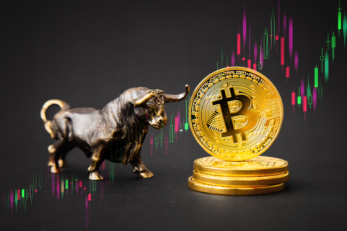 비트코인(BTC)