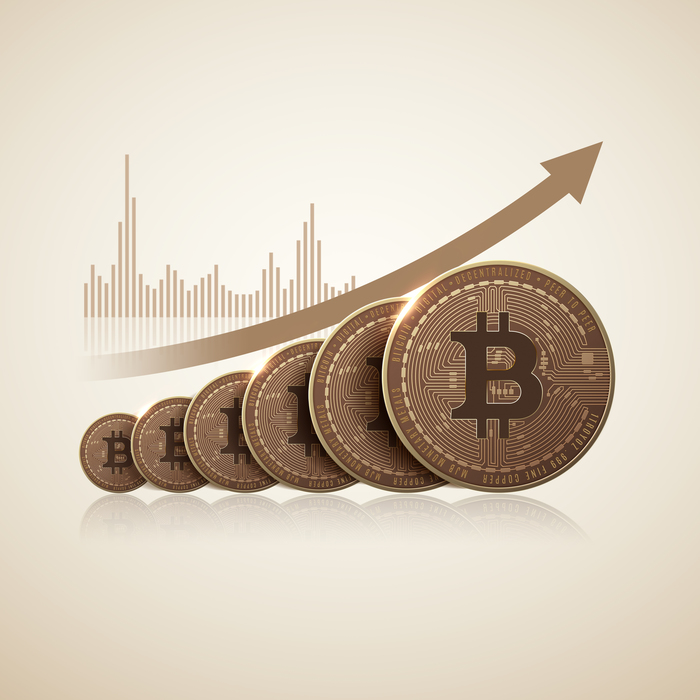 비트코인(BTC)