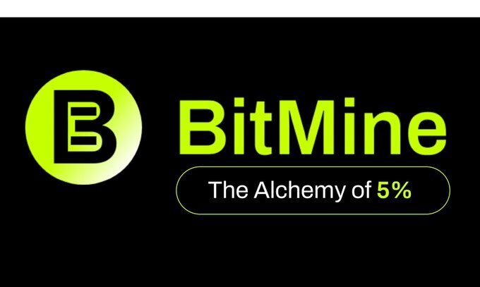 비트마인 이머전 테크놀로지스(Bitmine Immersion Technologies, BMNR)/출처: X