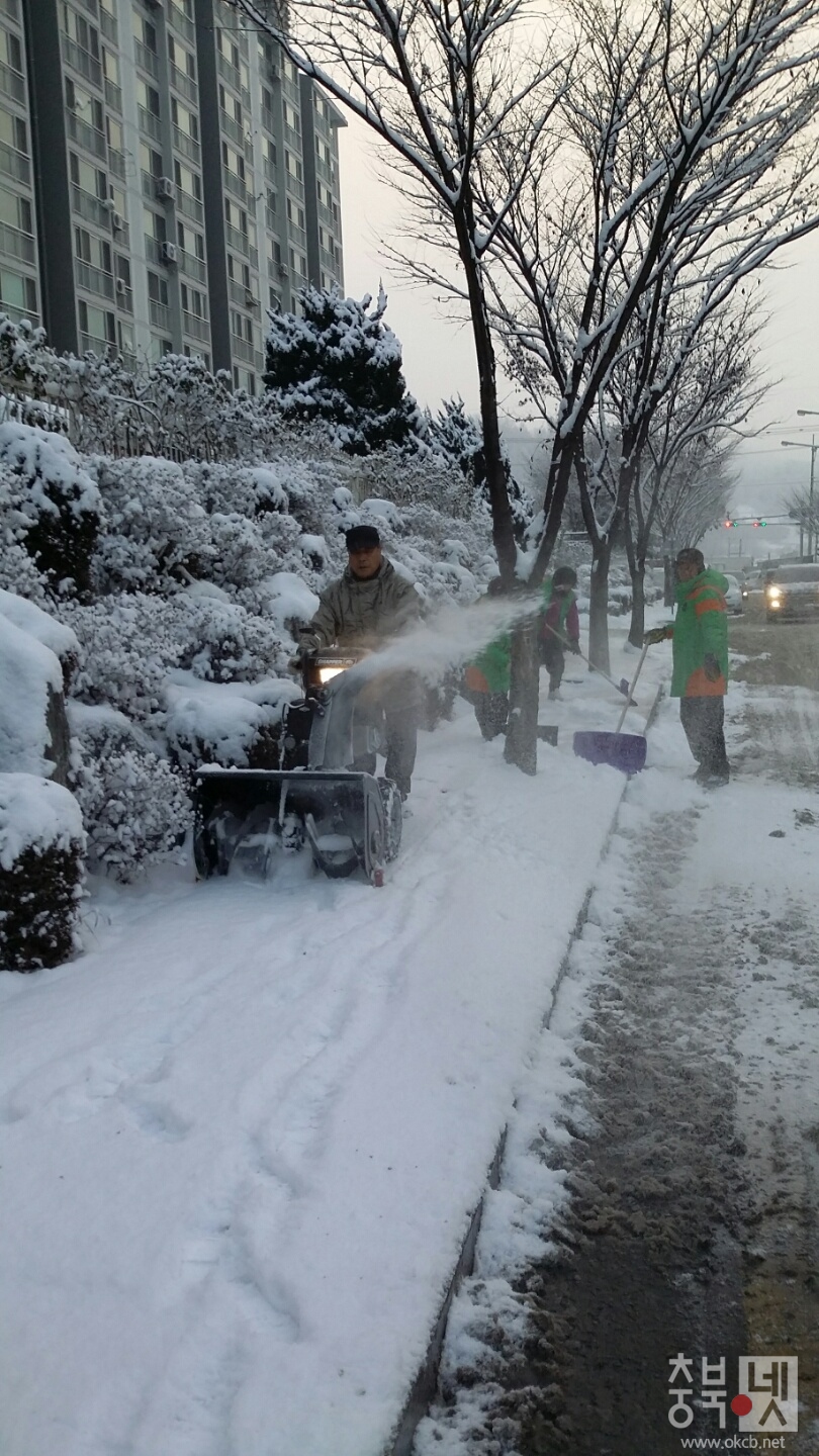제설작업에 나선 교동 방재단원들 (2).jpeg
