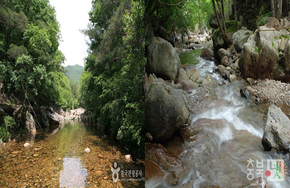 보은 만수계곡, 영동 물한계곡.jpg