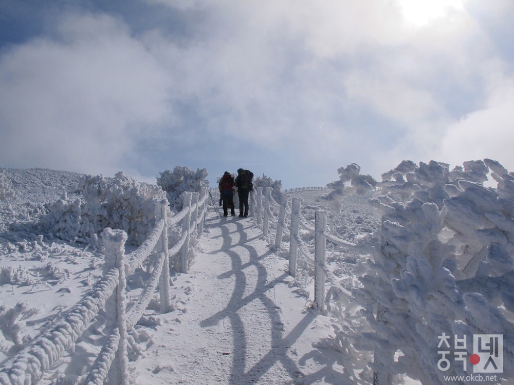 보도1)단양 소백산2.JPG
