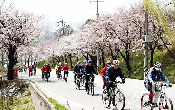 옥천 자전거.jpg