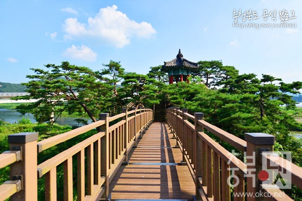 영동 강선대2.jpg