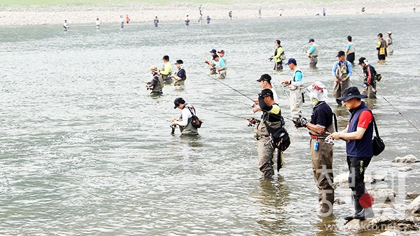 보도1)쏘가리낚시대회  (2).JPG