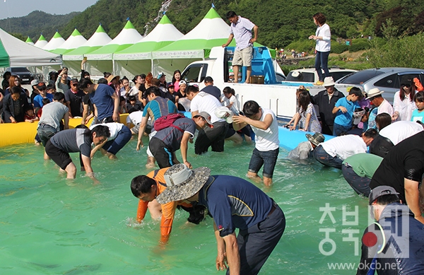 농다리축제3.JPG