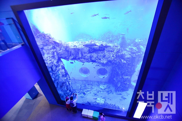 다누리 아쿠아리움 1.jpg