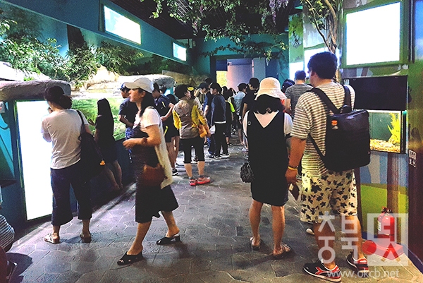 보도1)다누리아쿠아리움에서 여름 휴가를 즐기는 관광객1.jpg