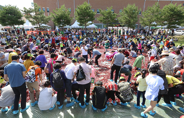 황금고추를 찾아라.jpg