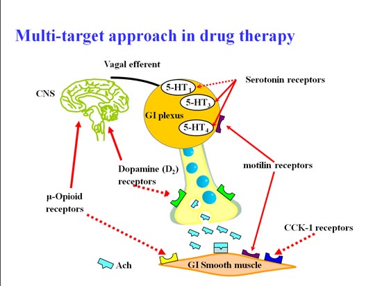 Targetoid Loop Gi Functional GI disease : Solving the therapeutic dilemma:후생신보