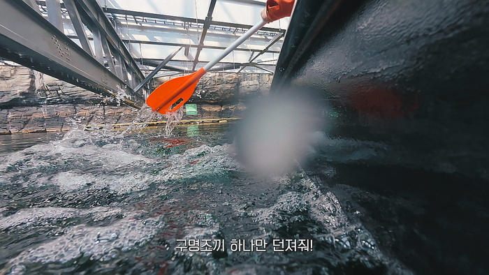 본문이미지
